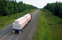 木材を搬出するトラック